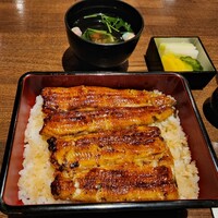 新宿 うなぎ菊川 - 