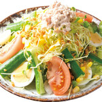 Colorful salad with plenty of tuna