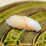 鮨 博多まつもと - ハタ