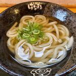 はなまるうどん - かけうどん小のアップ