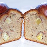 アピシウス - 断面（横から）