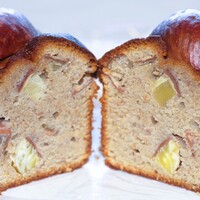 アピシウス - 断面(横から) アピシウス - 断面(横から)