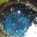 季節料理 あまね - 昼に立ち寄った、柿田川湧水公園