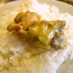 みすたーらいおん - 