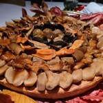 ブレストンコート ユカワタン - 