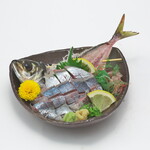 Swimming horse mackerel sashimi