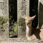 カフェ ドゥ ナチュレ - 