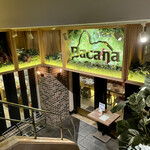 Bacana Demais - 