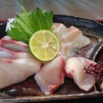 北浜えびす 海鮮食堂 - はまち＆鯛