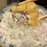 とんかつ七井戸 - オンザライスで楽しむ