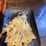 柿屋 うどん - 