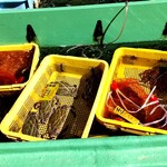 しーらすAQUA - 生きたお魚も多く売られております。