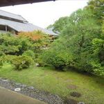 三養荘 - 窓外の景色