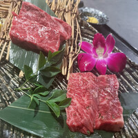 西中州焼肉 きらく - ハラミとサガリ