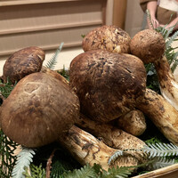 東茶屋 なかむら - 