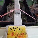 濱崎鮮魚店 - 料理写真:左がサザエ・右が千年貝(トコブシ)