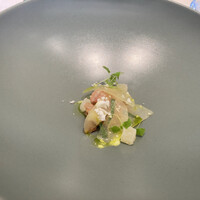 クイントカント - 