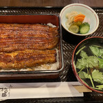 Ningyouchou Umeda - 