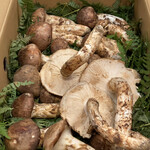 柚木元 - 6人分です