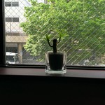 タリーズコーヒー - 二階席のカウンターからの景色、いよいよ緑が芽吹く季節になりましたね♪(*^^*)