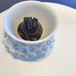 プレゼンテ スギ - 