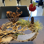 プレゼンテ スギ - 