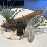 プレゼンテ スギ - 