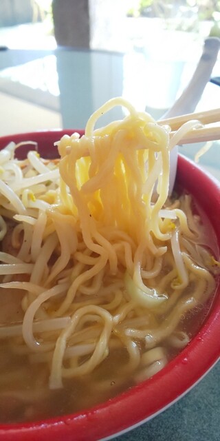 函館元祖バスラーメン - 湯の川（ラーメン）の写真