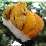 越乃 - 淡路産雲丹