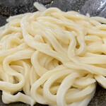 うどんのことのは - うどんのアップ。いかにも手打ちですと主張している感じだが小麦の味を楽しむ感じではない。