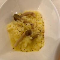 スプレンディード - 