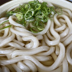 ななしのうどん - 麺の太さが選べる 中麺です
            少しの青ねぎ添えてる