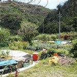 笑味の店 - 店の前の畑で野菜を作ります