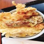 Marugame Seimen - 卓上のお塩やタレをかけていただきました。見た目よりあっさりしていて、胃が持たれない天ぷらです