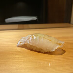 こま田 - マコガレイ