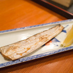 ひと椿 - タチオウのしっぽ（サービス品）