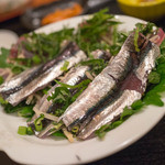 ひと椿 - シコイワイの光物たる姿を写すためにひっくり返してみました。