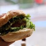 Falafel Brothers - 