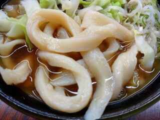 たけ川うどん - うどんアップ