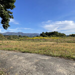 十割 手打ちそば しげ邸 - 