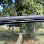 十割 手打ちそば しげ邸 - 