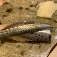 赤坂 鮨 ふくなが - コハダ