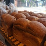 セテュヌ ボンニデー - 