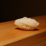 枯淡 - ■アオリイカ　♡