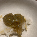 日本料理FUJI - 用宗の（教えていただいた）生しらすで♪
      新生姜も程よく効いて、猛烈に美味しい！