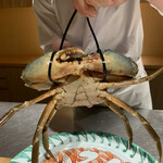 日本料理FUJI - ノコギリガザミ。浜名湖産のみドウマン蟹と呼ぶそう。