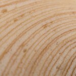 マッターホーン - 