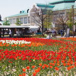 Niigata Furusato Mura - バザール館外観