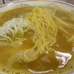 北山龍 - 麺のアップです（2013年4月）。