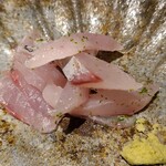 馳走 啐啄一十  - ⑩鯵(愛媛県今治産)
      産卵期は春～夏、旬は秋～冬。
      瀬戸内の鯵は脂のりよりも薫りを楽しむのが合っています。
      自然な旨みと甘みが魚自体の潜在力を感じさせます。